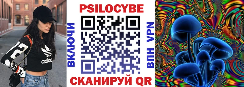 Псилоцибиновые грибы мицелий  блэк спрут вход  Гусиноозёрск 